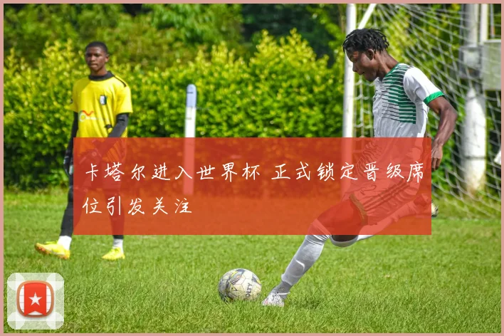 卡塔尔进入世界杯 正式锁定晋级席位引发关注