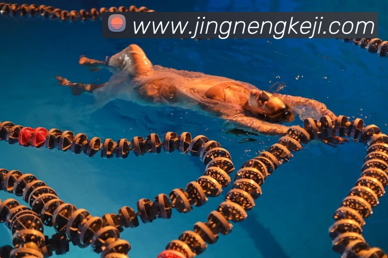 世界杯官方入口APP 高清赛事图